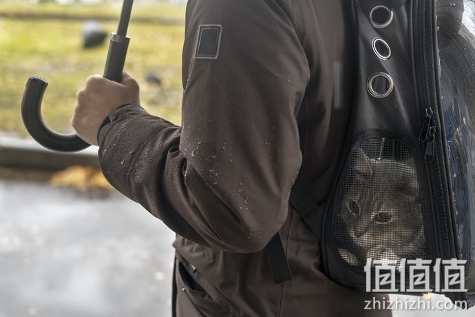 猫咪太空包怎么选择？猫咪太空包选购指南