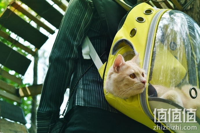 猫咪太空包怎么选择？猫咪太空包选购指南