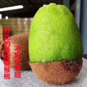 町哆哆 陕西周至绿心徐香猕猴桃 特大果20枚单果110-130g