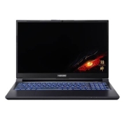拼多多百亿补贴：神舟 战神Z7-DA7NP酷睿i7-12700H RTX3050游戏本笔记本电脑