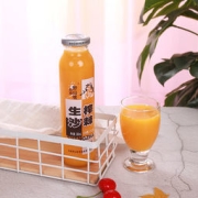 吕梁野山坡 野生沙棘果汁饮料 300ml*8瓶