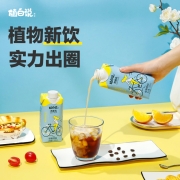 可口可乐旗下 植白说 植物蛋白饮料 330mlx8瓶x2件