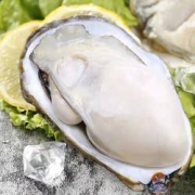 PLUS会员：澳角大厝 鲜活乳山生蚝 1斤装*5件