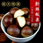 逸知鲜 辽宁丹东特产新鲜板栗 5斤