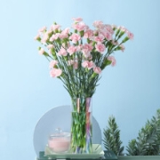 京东极速版：REFLOWER 花点时间 多头康乃馨10枝