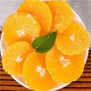 土八鲜 湖南麻阳 冰糖橙 净重5斤