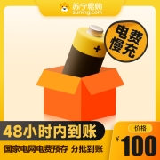 电费100元 国家电网 电费预存100元 0-48小时内到账