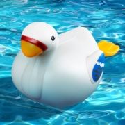 Delectation 儿童戏水小天鹅玩具