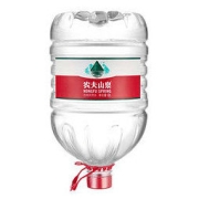 NONGFU SPRING 农夫山泉 饮用天然水 12L*10桶