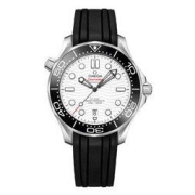 OMEGA 欧米茄 Seamaster海马系列 男士机械手表 210.32.42.20.04.001