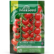 天猫U先:老品种小番茄种子 20-30粒