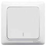Schneider Electric 施耐德电气 Brillyn睿意系列 A3E31_2A 一开双控开关 白色