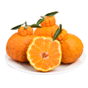 菀棫农业 四川 不知火丑橘 5斤