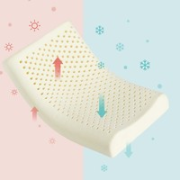 BABYGREAT 儿童定型护颈枕