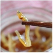 丁香鱼110g/ 瓶 福建特产海鲜鱼罐头即食下饭