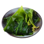 聚划算百亿补贴：溢源  霞浦 海带苗 特大苗  500g*3袋