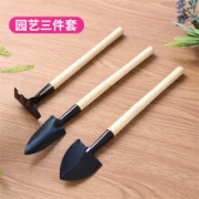 花清洋 多肉专用工具 三件套