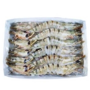 mr seafood 京鲜生 巨型虎虾14-16只 1kg*2件
