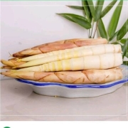 绿鲜森春笋临安现挖竹笋新鲜雷笋蔬菜生鲜 五斤装（泡沫箱恒温）