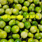 PLUS会员：shui guo shu cai 水果蔬菜 黄金百香果 1斤超值装 (约9-11个)