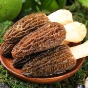 豫菇芝缘 新鲜羊肚菌 250g