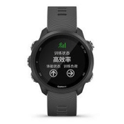 GARMIN 佳明 Forerunner 245 跑步智能手表 神秘灰 42.3mm