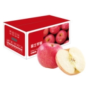 京觅 烟台苹果 铂金果 5kg 单果190-240g