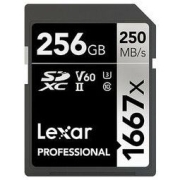 Lexar 雷克沙 1667x 存储卡 256GB 黑色