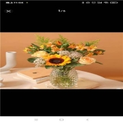 京东PLUS会员:花点时间 花田风铃花/ 洋牡丹/ 迷你非洲菊 /六出 /紫罗兰 /洋甘菊 单品花材 产地直发 六出10枝单色随机 送鲜花险