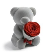 SEEROSE 进口永生玫瑰花端坐熊公仔礼盒 心花怒放-嫣红