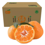 湘春宏 湖南椪柑芦柑 新鲜橘子水果 贡柑   9斤