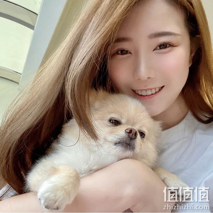 宠物洁牙骨怎么选？宠物洁牙骨选购指南