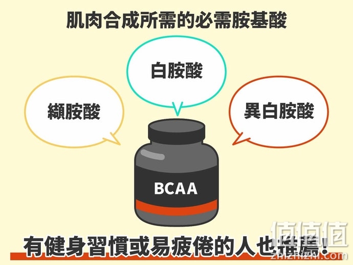 如何选择BCAA保健品？BCAA选购指南