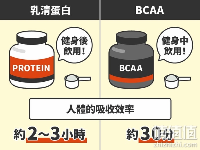 如何选择BCAA保健品？BCAA选购指南