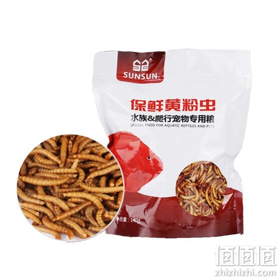 森森黄粉干大麦虫面包虫乌龟饲料龙鱼粮观赏鱼食罗汉鱼食仓鼠小鸟粮食高蛋白保鲜虫 保鲜面包虫140g*3袋