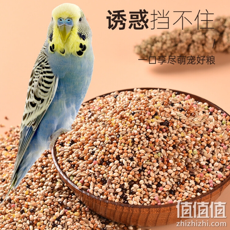 R&M 虎皮文鸟粮2LB(908g) 鸟食鹦鹉饲料粮鸟用品牡丹玄凤虎皮文鸟天然营养粮