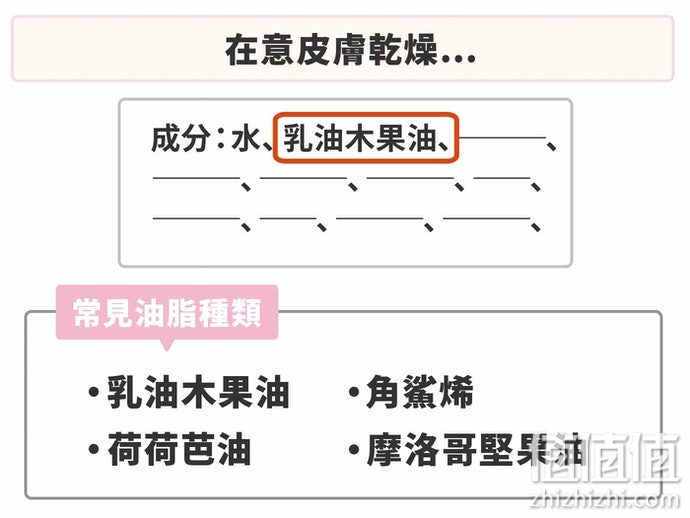 身体乳怎么选？身体乳霜选购指南