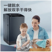 TCL B100T100 10公斤 全自动波轮洗衣机