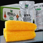 绿牧山 糯玉米新鲜东北粘玉米棒 10根2000g