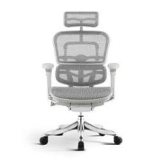 29日20点：Ergonor 保友办公家具 金豪e精英版 人体工学电脑椅 灰框 银白色