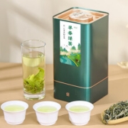 PLUS会员：茶叶绿茶 特级 2022新茶明前春茶云南毛峰早春绿茶  单罐装 250克