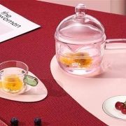 物生物 玻璃煮茶器套装