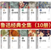 《鲁迅经典全集》10册