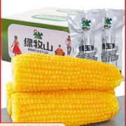 有机认证  绿牧山 糯玉米新鲜东北粘玉米棒 10根2000g