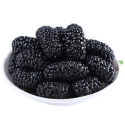 精品大颗粒桑葚干袋装 净重 250g