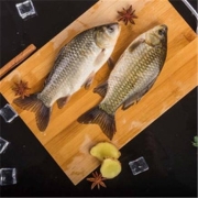 mao pu yu 猫扑鱼 微山湖生态鲫鱼 净膛 一斤中号（每斤4-6条）*3件