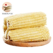 静益乐源 甜糯白玉米棒 200g*5支