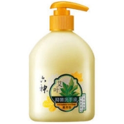 六神 艾叶抑菌洗手液 滋润型 500ml