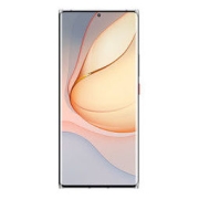 nubia 努比亚 Z40 Pro 5G手机 12GB+256GB 星河银