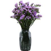 FlowerPlus 花加 勿忘我 1束 颜色随机